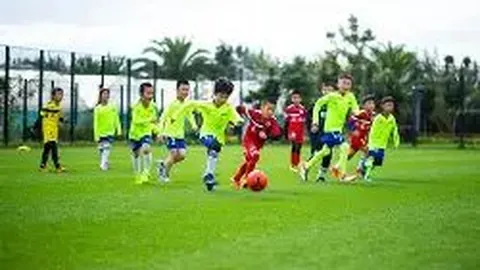 法国与希腊欧预赛战成2-2，穆阿尼与福法纳各展神威